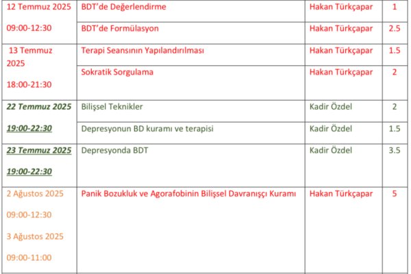 Bilişsel Davranışçı Terapi Modül 1 Programı
