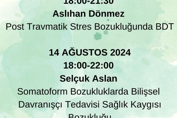 Bilişsel Davranışçı Terapi Modül 1 Programı