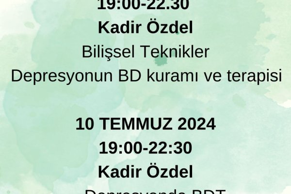 Bilişsel Davranışçı Terapi Modül 1 Programı