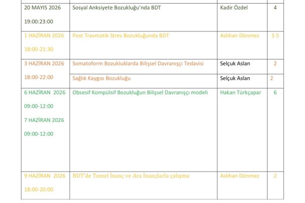 Bdt Modül 1 Programı