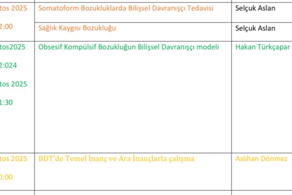 Bilişsel Davranışçı Terapi Modül 1 Programı