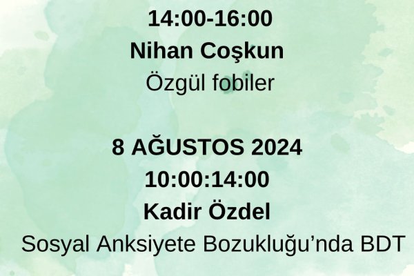 Bilişsel Davranışçı Terapi Modül 1 Programı